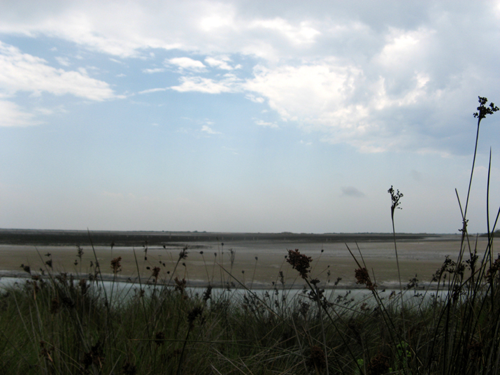 2007-07 Camargue 004.jpg